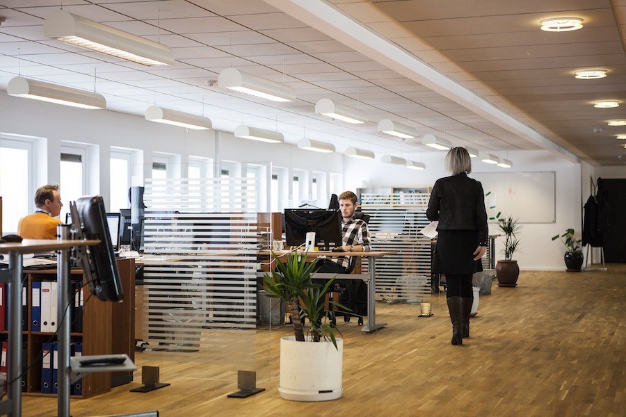 An open office space with people working at computers at adjoining tables.